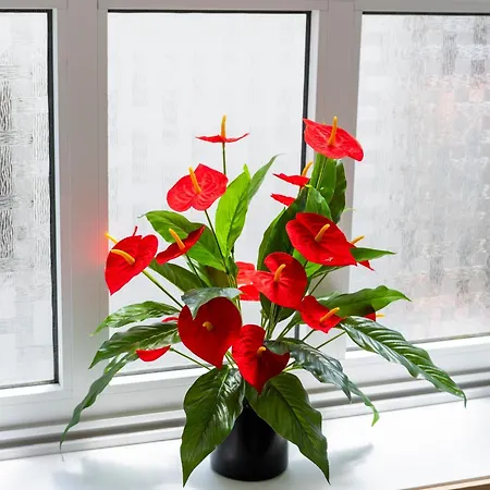 Residencial Princesa Do Ave Pensjonat Vila do Conde