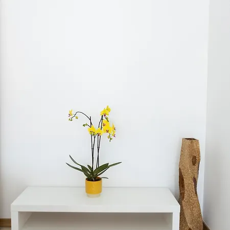 Residencial Princesa Do Ave Pensjonat 3*