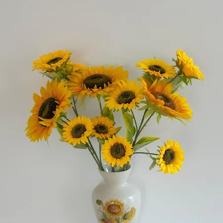 Gasthof Residencial Princesa Do Ave Vila do Conde