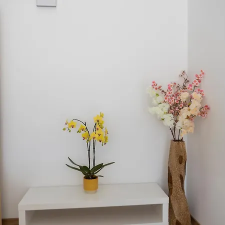 Residencial Princesa Do Ave 招待所