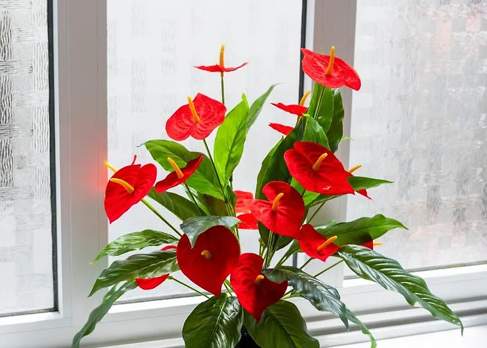 Residencial Princesa Do Ave Affittacamere Vila do Conde