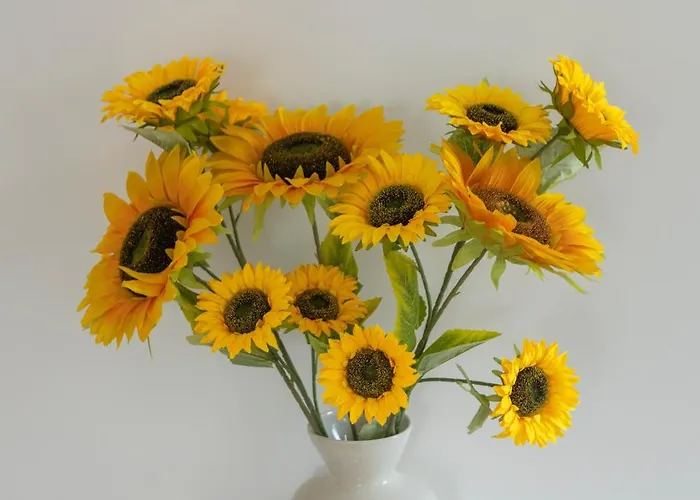 Affittacamere Residencial Princesa Do Ave Vila do Conde