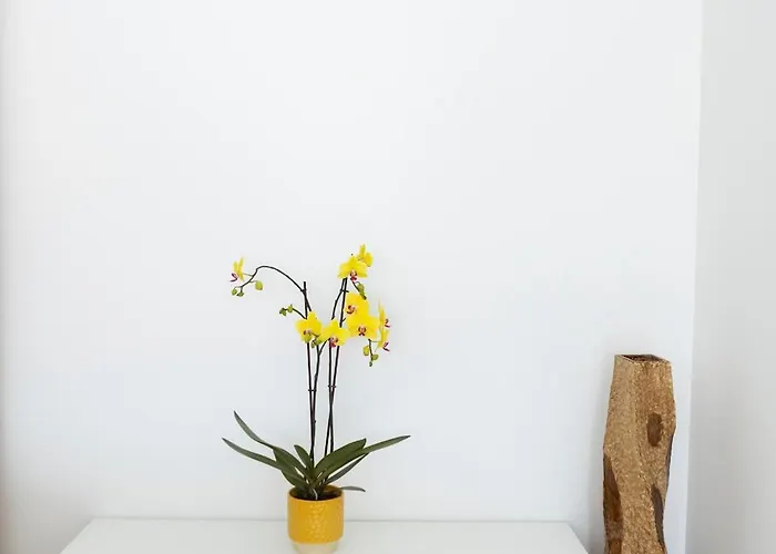 Residencial Princesa Do Ave Affittacamere 3*